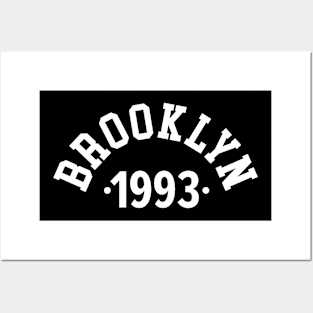 Brooklyn Chronicles: Celebrating Your Birth Year 1993 Posters and Art